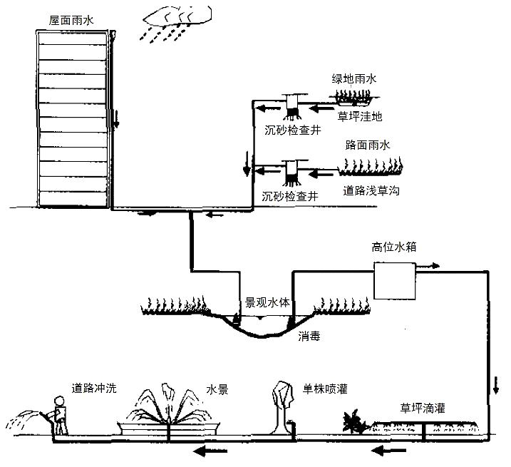 雪碧01