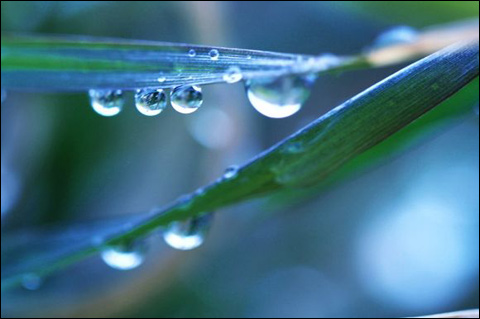 雨水收集