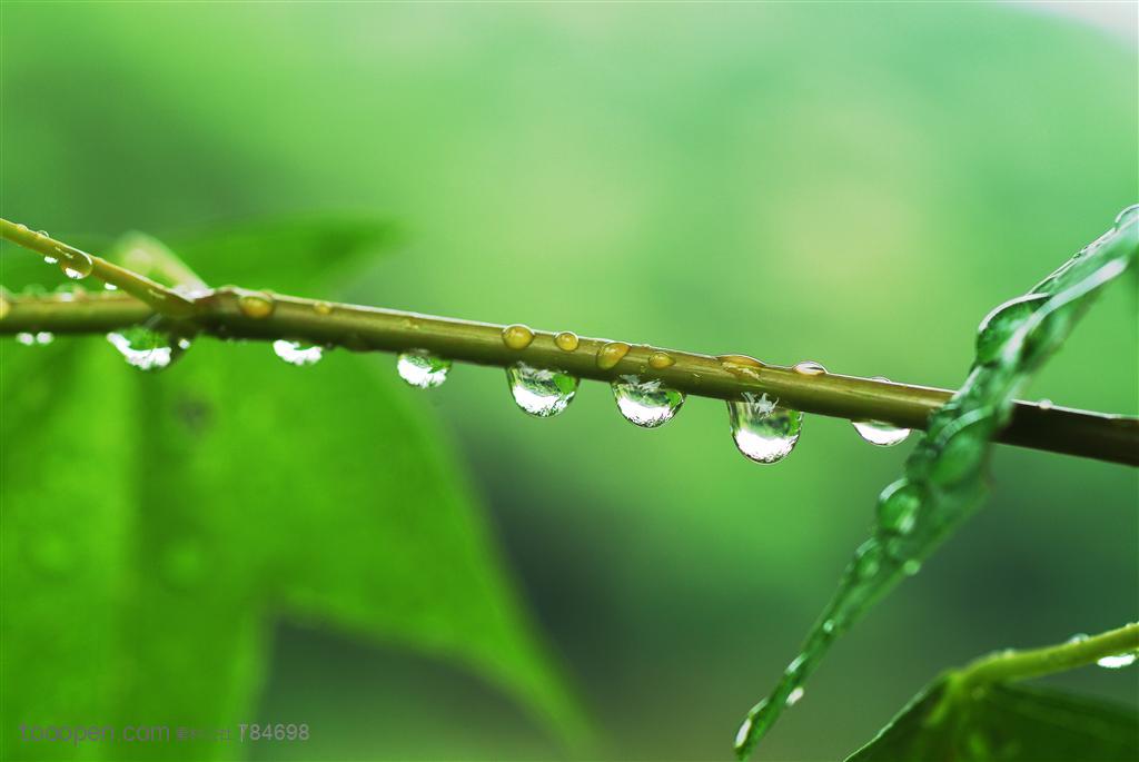 雨水收集